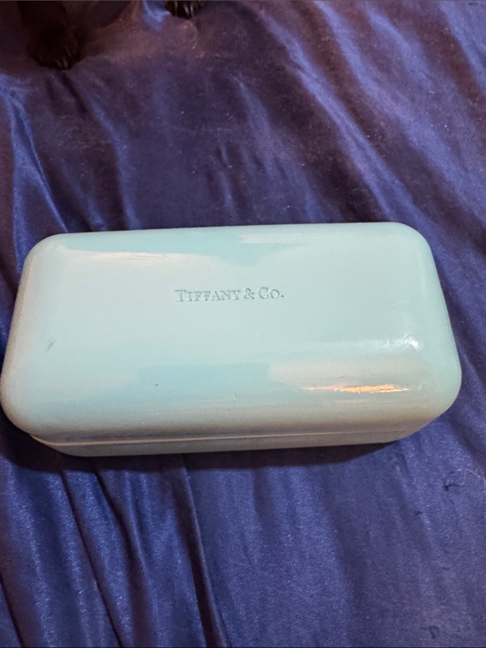 Tiffany & Co. Aqua Case